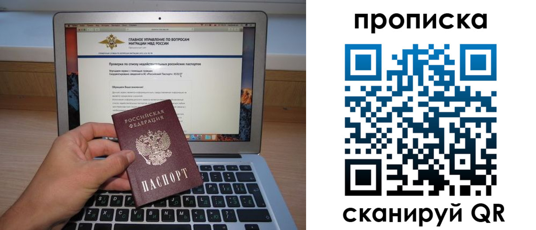 прописка поиск в Рошале